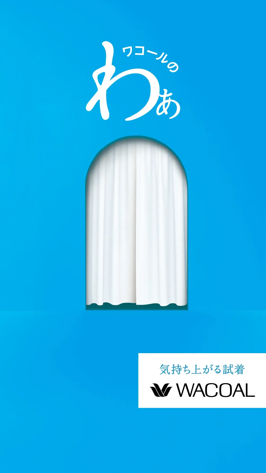 気持ち上がる試着 WACOAL