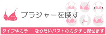 ブラジャーを探す