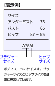 表示例