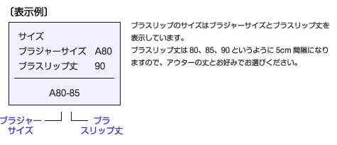 表示例