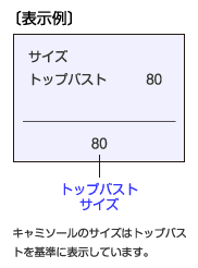 表示例