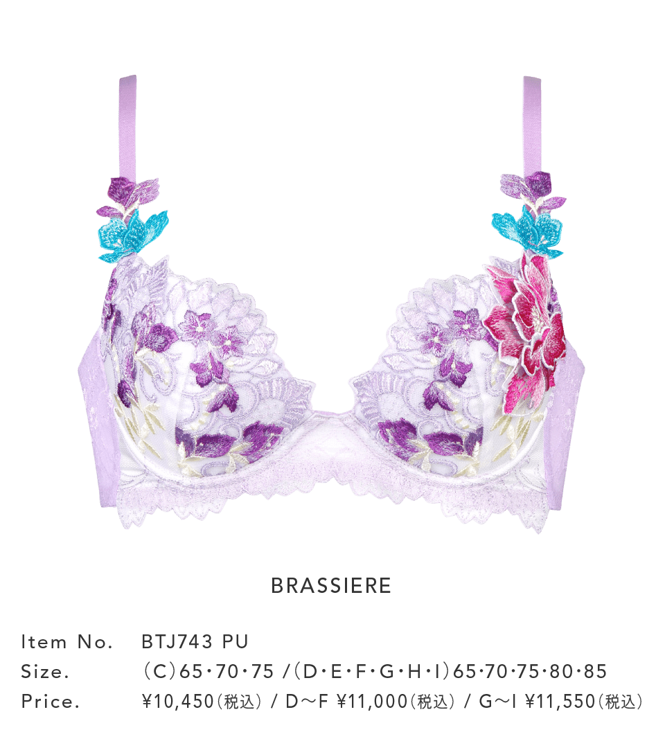 セクシー下着 43グループ サルートコレクション