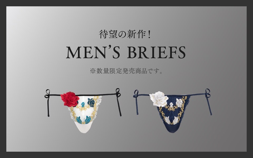 men's briefs
