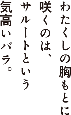 わたくしの胸もとに咲くのは、サルートという気高いバラ。