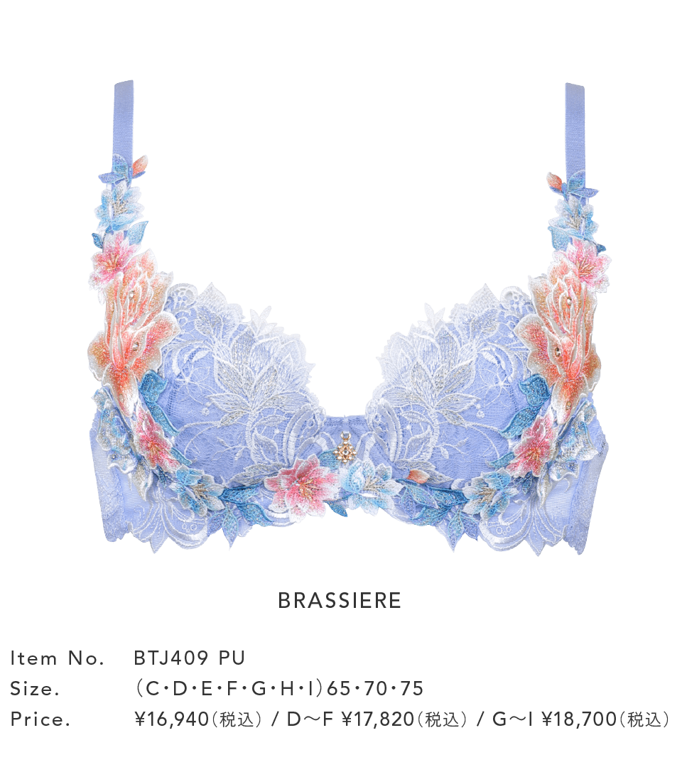ワコール サルート 09G IV Mサイズ Wacoal - サルート09G D65 & ソングM IVの通販 by ちゃこ's shop