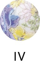 IV