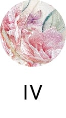 IV