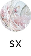 SX