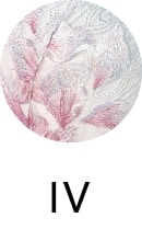 IV