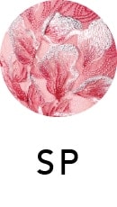 SP