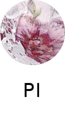 PI