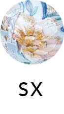 SX