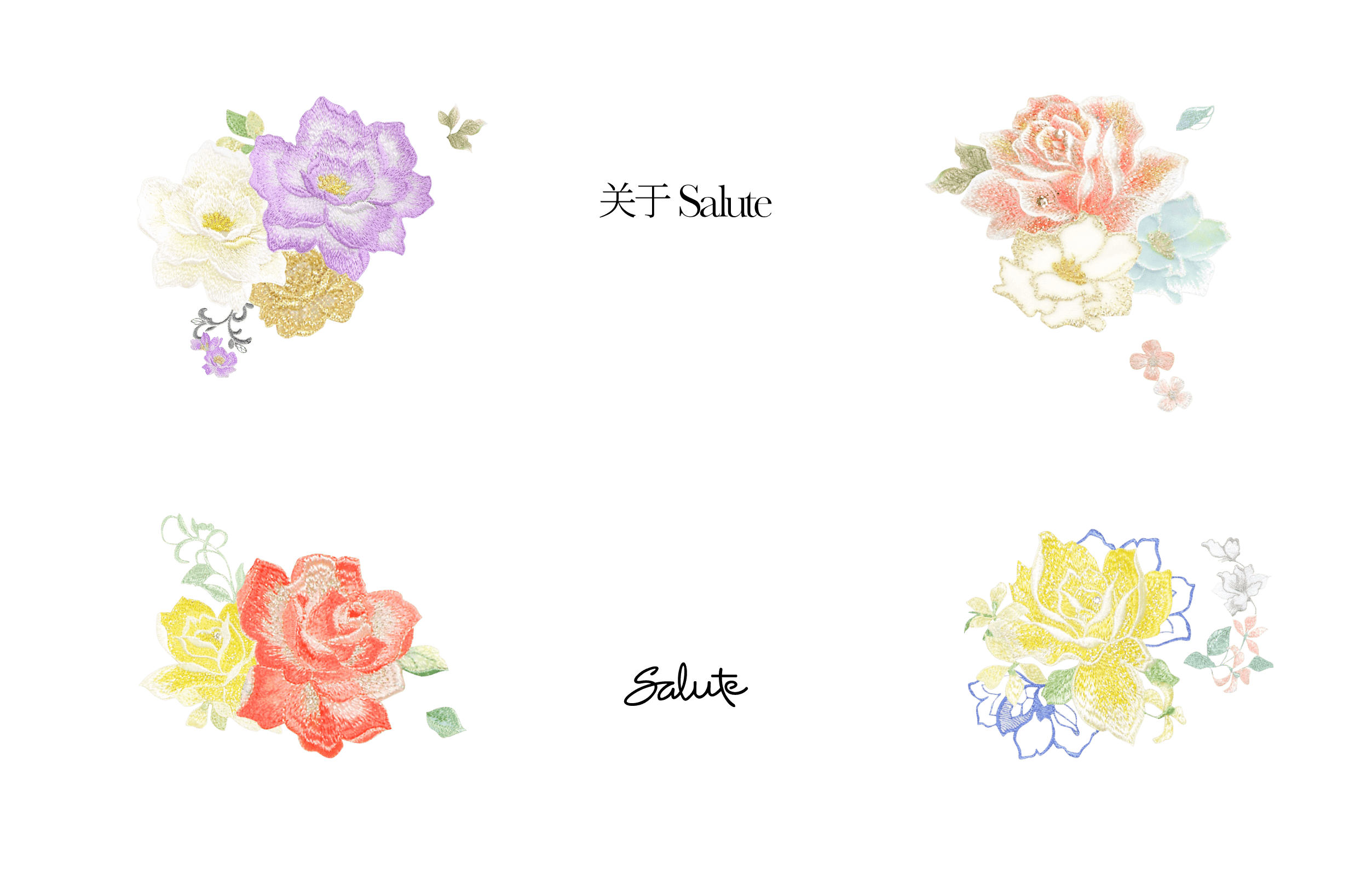 关于Salute