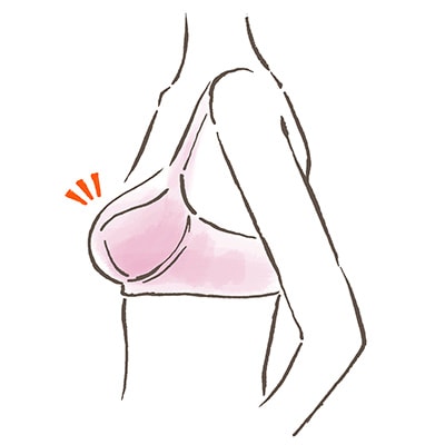 バストラインが下を向く。