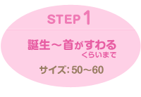 誕生～首がすわるくらいまで　サイズ：50～60