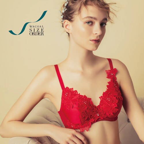 34980円 D80 ワコール 最高峰 DIA 美しいレースのブラジャー