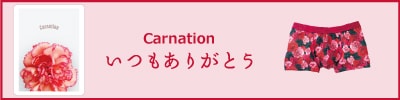 hanakotoba-carnation.jpg