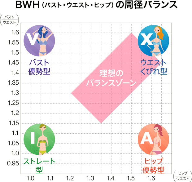 BWH（バスト・ウエスト・ヒップ）の周径バランス