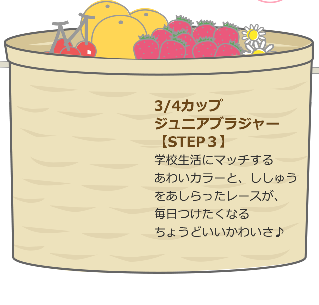 3/4カップジュニアブラジャー【STEP３】