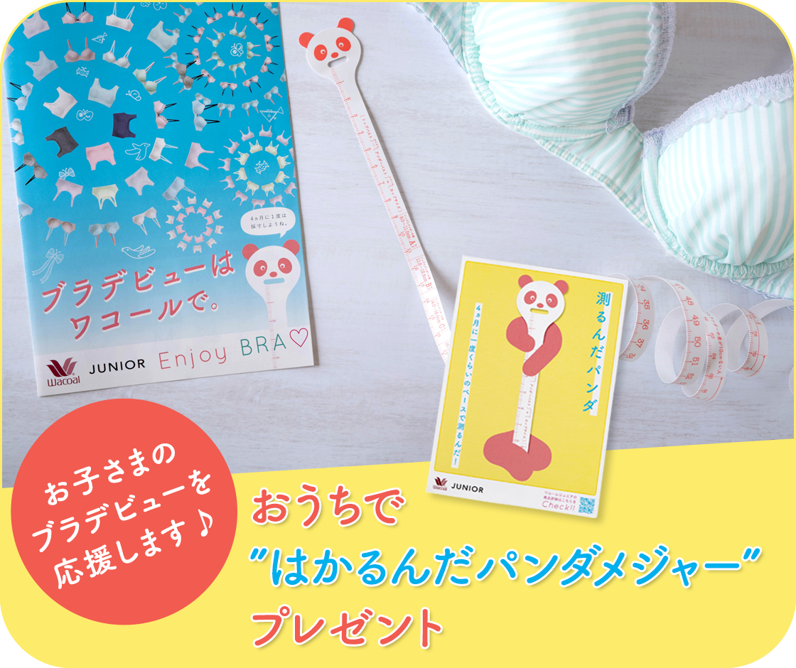 小 中学生の下着 ブラジャーなら ワコール ジュニア ワコール