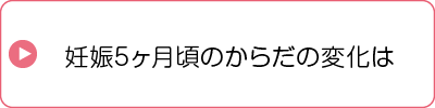 妊娠5ヵ月頃のからだの変化は