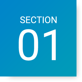 section01