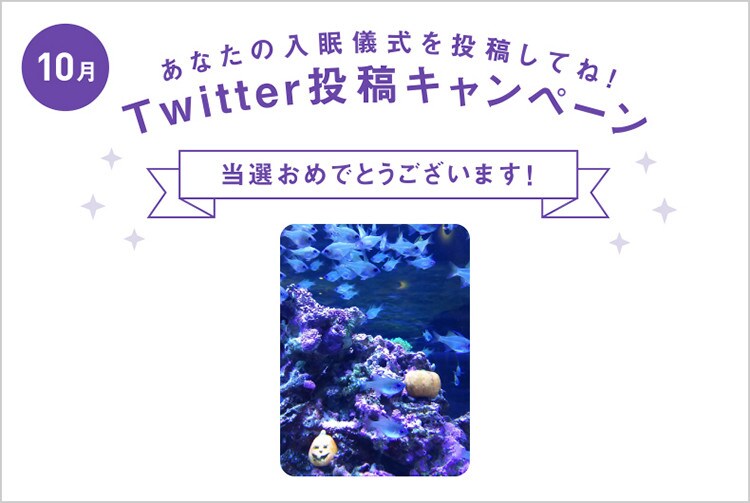 10月度の投稿・当選結果