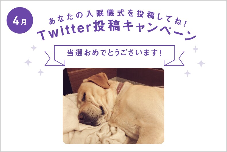 4月度の投稿・当選結果