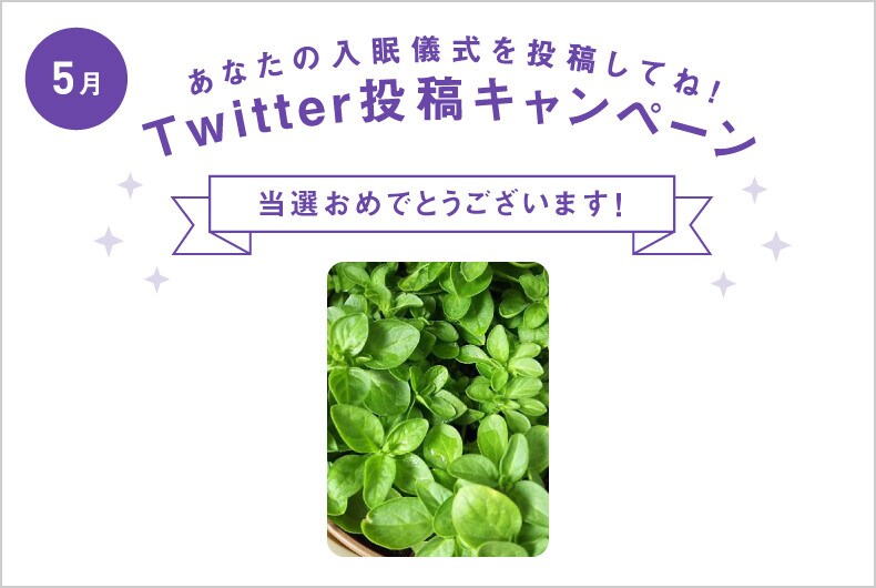 5月度の投稿・当選結果