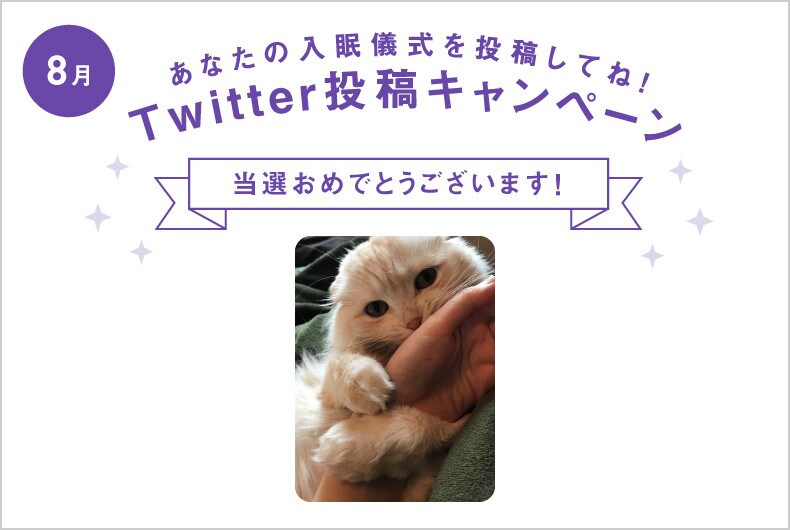 8月度の投稿・当選結果