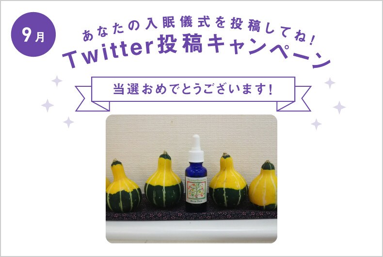 9月度の投稿・当選結果