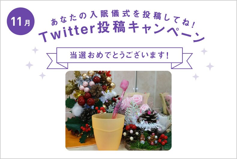 11月度の投稿・当選結果