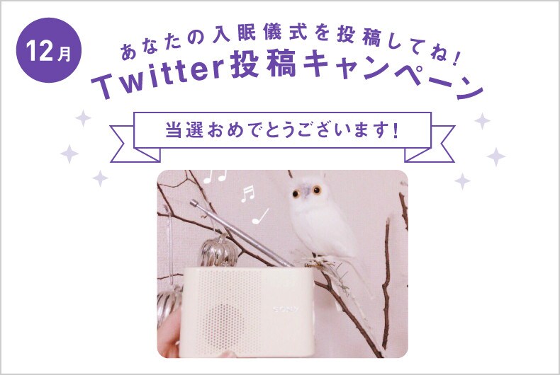 12月度の投稿・当選結果