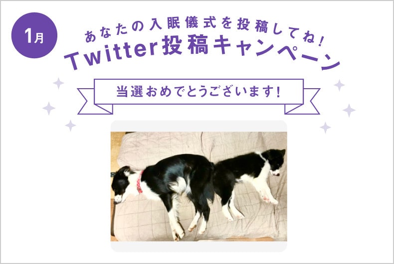 1月度の投稿・当選結果