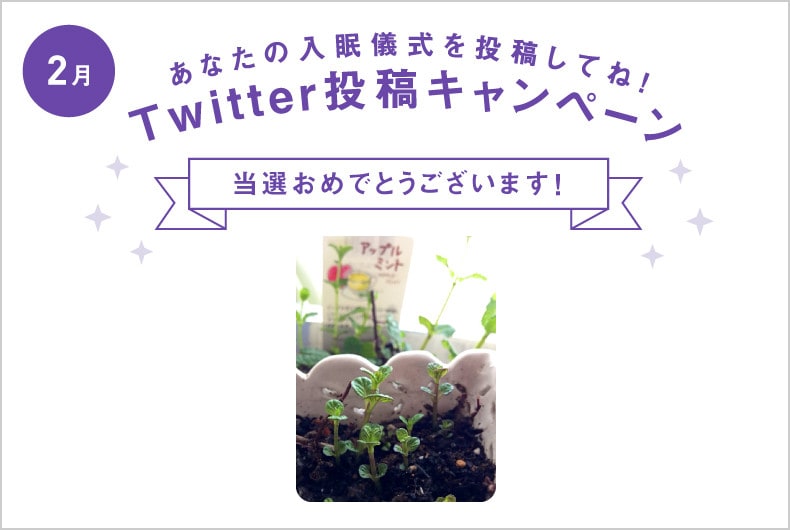 2月度の投稿・当選結果