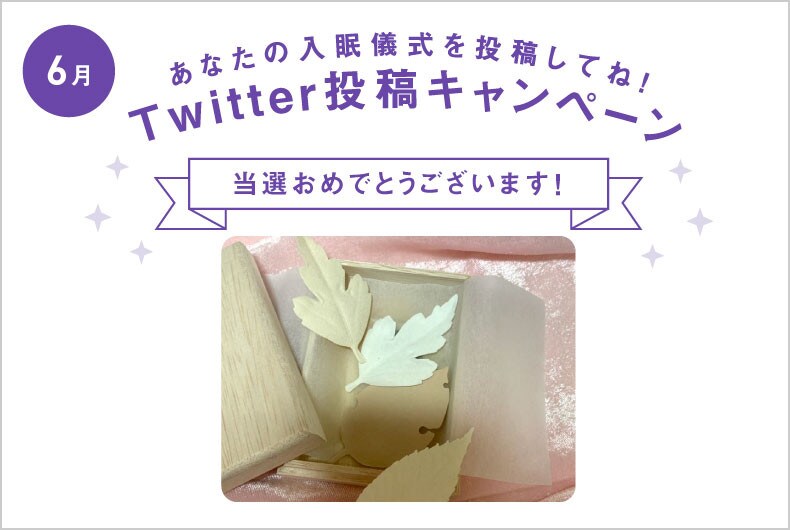 6月度の投稿・当選結果