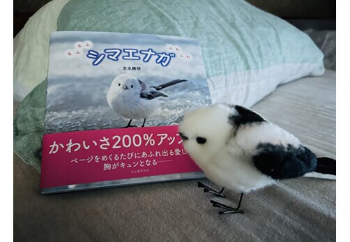 ツイート画像