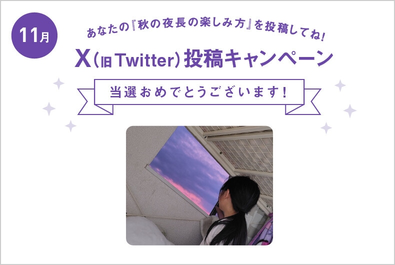 11月度の投稿・当選結果