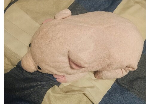 ツイート画像