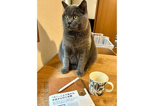 ツイート画像