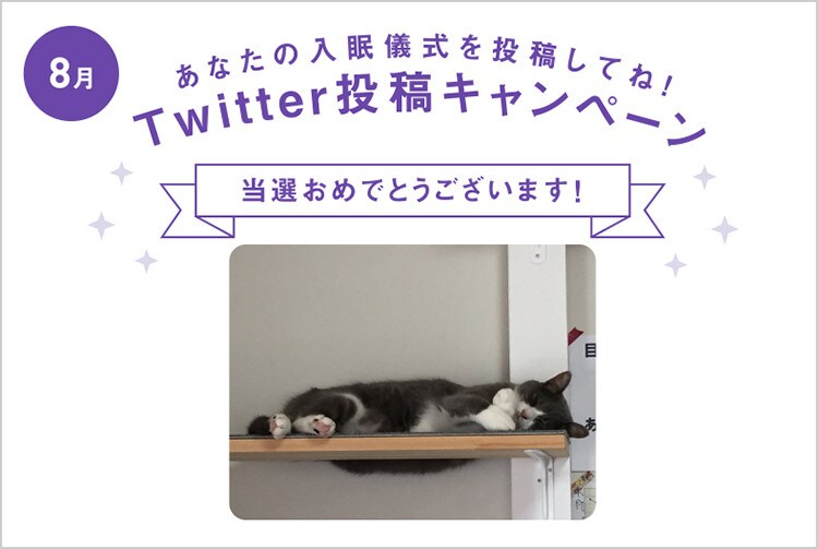 8月度の投稿・当選結果