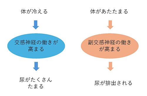 vol145_就寝中のトイレ悩みは対策できる?