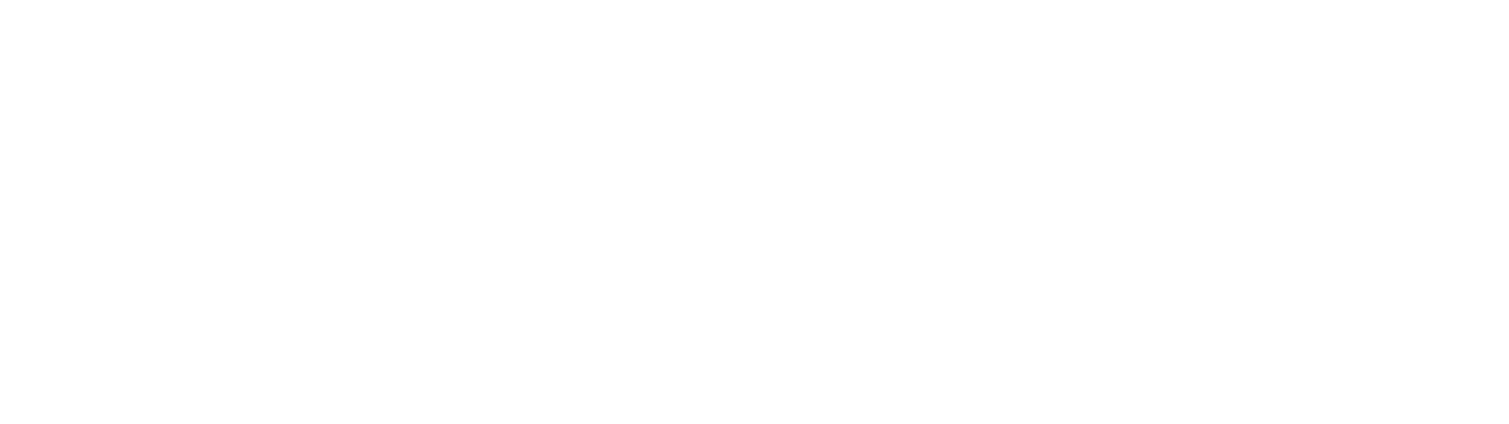 30th ANNIVERSARY Swan Boat for Smiles