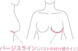 バストの付け根ライン（乳房下溝線）の位置
