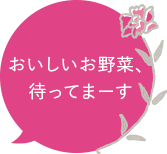おいしいお野菜、待ってまーす