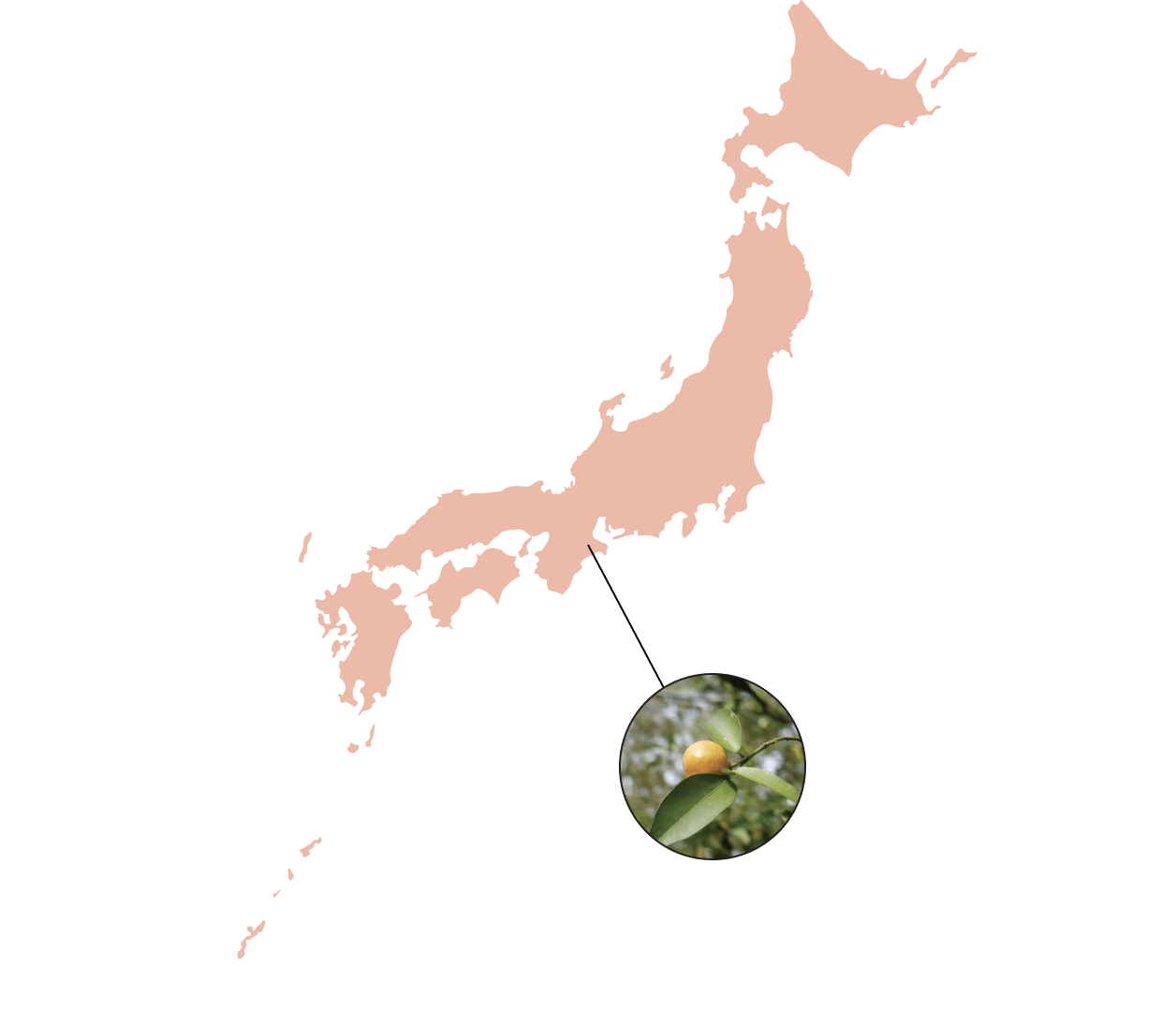 日本地図