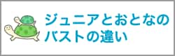 ジュニアとおとなのバストの違い